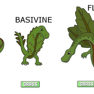 Grass starters:
The grass type starters for a region I'm designing. I'm still finalizing the designs for fire and water.