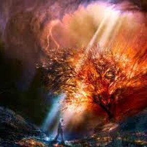 Tree of Fire