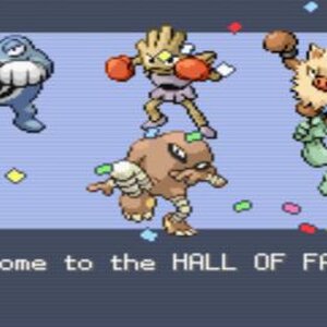 My Leaf Green Fighting Team