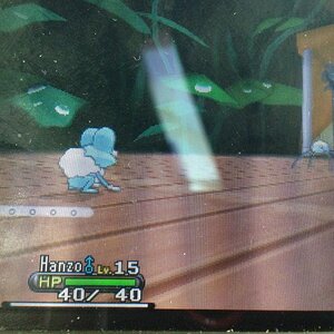 Pokemon x first gym