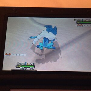 Pokemon x second gym Frogadier vs Amaura