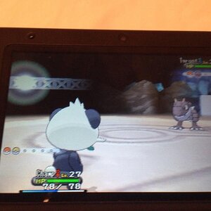 Pokemon x 2nd gym Pancham vs Tyrunt