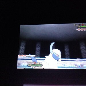 Pokemon X Third Gym Absol vs Mienfoo