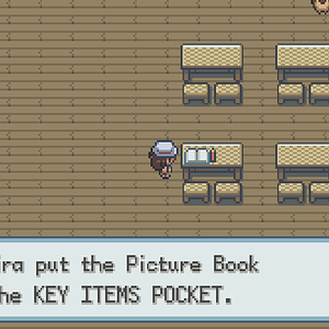 The Picture Book is an item that is used during a side quest. It is a key item. There's only one other key item used in a quest, and that's the Packag