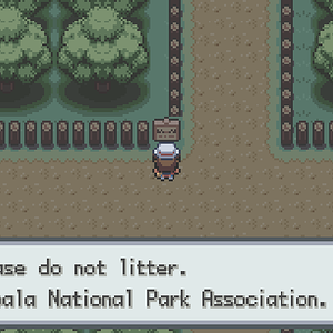 Teshinde Forest is Nimbala's oldest national park. Please do not litter there.