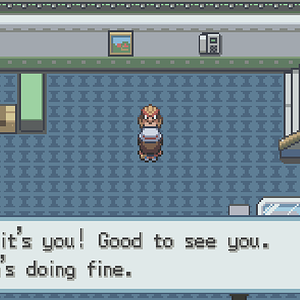 In the Pokemon Hotel, you can allow your Pokemon to take a break from living with you and take a vacation.