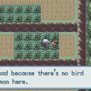 This bird keeper is in the wrong place if he wants to find bird pokemon. There's only Kangaskhans and Absols and such here.