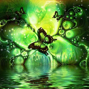 green butterfly water pretty