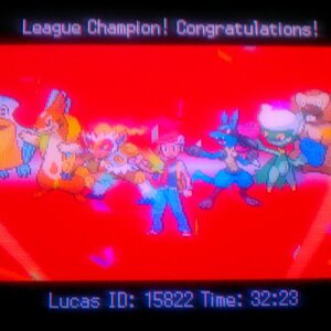 Diamond Re-run Team:
Infernape
Lucario
Floatzel
Roserade

Helpers:
Bibarel
Pelipper