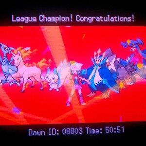 Pearl Re-run Team
Pachirisu
Empoleon
Rapidash
Staraptor
Garchomp

Helpers:
Skarmory
Bibarel