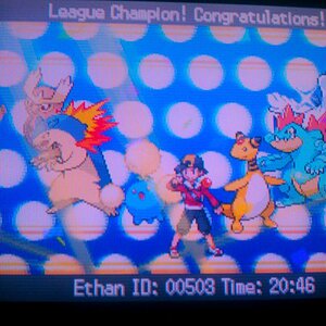 SoulSilver Re-run Team:
Jumpluff
Ampharos
Typhlosion
Feraligatr

Helper:
Noctowl

*Lugia was a random add to make the team look fuller.*