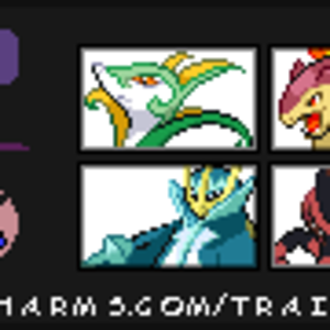 trainercard 1