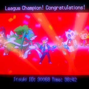 Platinum Re-run Team:
Gallade
Porygon-Z
Torterra
Froslass

Helpers:
Staravia

*Chimchar was a random add to make the team look fuller.*