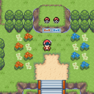 white platinum on GBA (note: ruby hack)