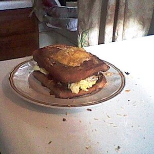 An egg in a basket and fried egg sandwich with leftover taco meat and shreaded cheese. Aka why I'm fat.