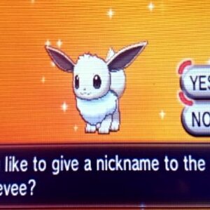 Shiny Eevee!! After 63 eggs! I evolved him into Vaporeon!