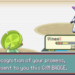 Pokemon Emerald (U) 50