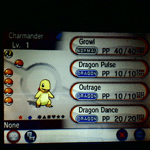 Future MegaCharizard Y :)