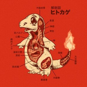charmander anatomy