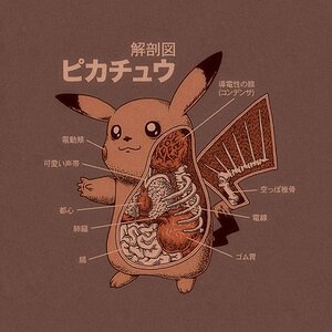 pikachu anatomy