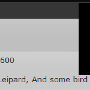 Introducing...Diapird!