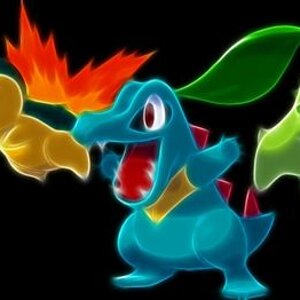 pokemon totodile cyndaquil chikorita