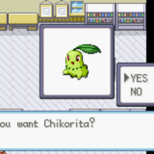 Starter - Chikorita