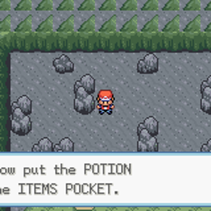 Renewal Cave - Potion