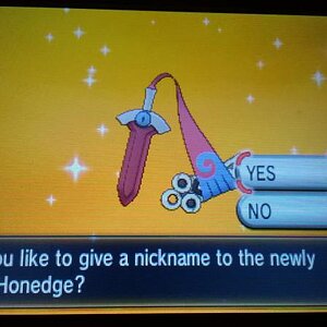 Shiny Honedge! <3 (720 Eggs MM) - female