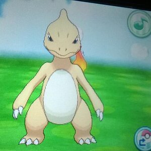 Shiny Charmeleon! <3 (evolution)