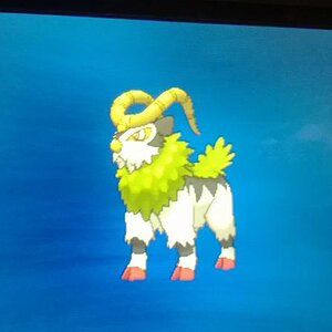 Gogoat! (evolution)