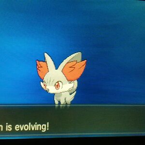 Shiny Fennekin! <3 (458 Eggs MM) - male