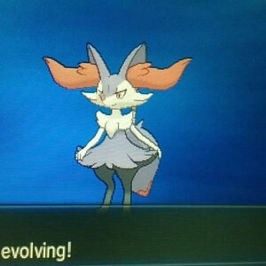 Shiny Braixen! <3 (evolution)