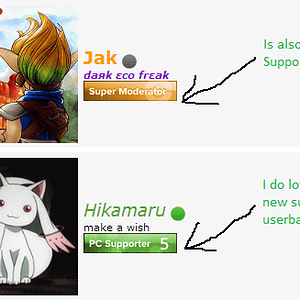This is what happens when you are playing around with codes, the staff's mini supporter tags suddenly disappear yet the supporters themselves show the