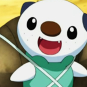 oshawott6