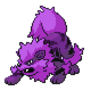 Shadow Arcanine front sprite