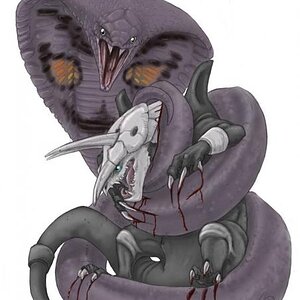 Arbok Choking