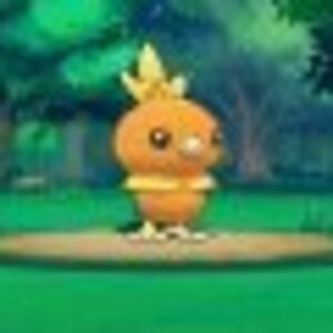 How Torchic will look like when you battle it