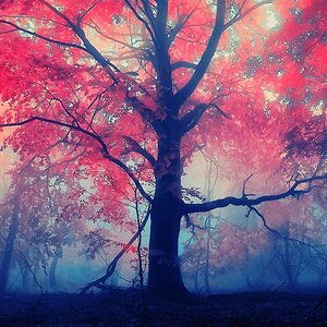 tumblr mqu862R02K1syagfpo1 1280