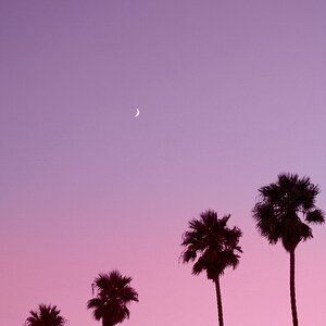 tumblr mk4z443MKG1s9q3dyo1 500