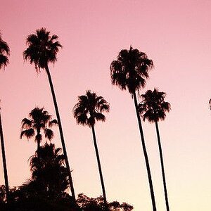tumblr lpmjh5crXw1qb13bqo1 500