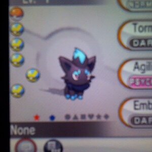 Shiny Zorua