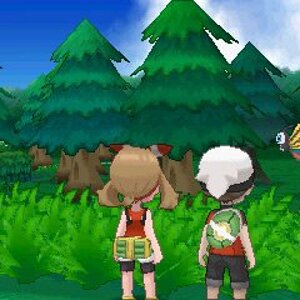 beautiflys and your trainer