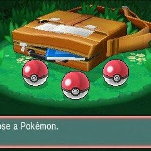 your pokemon selection