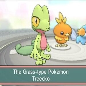 will you pick treecko