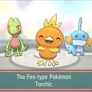 will you pick torchic