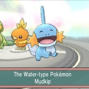 will you pick mudkip