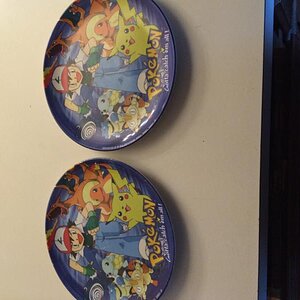 My Pokemon plates, I used to have the matching cups but when I was younger, my friend and I wanted cold water so we left them in the freezer and didn'