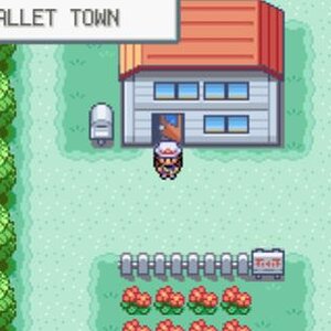 Pallet town