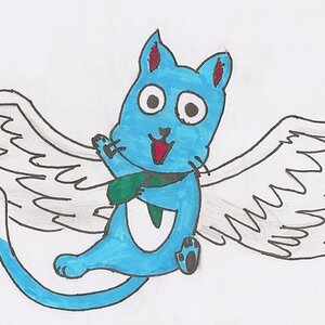 This is Happy from the anime Fairy Tail. I made this because I really like the way Happy acts in the anime